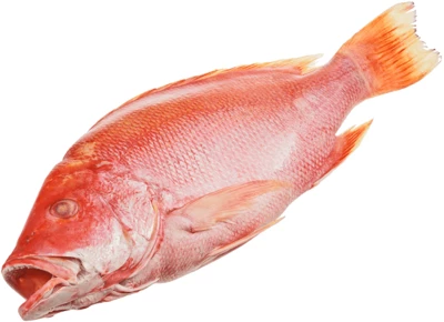 Снеппер красный свежемороженый ~3,5кг-0}