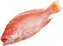 thumb-Снеппер красный свежемороженый ~3,5кг-0}