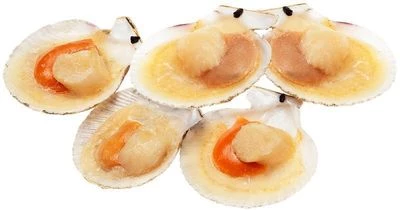 Гребешок с икрой на раковине 10/20 500г-0}