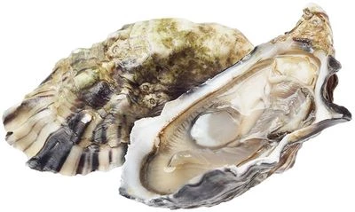 Устрица Жилардо 1шт-1}