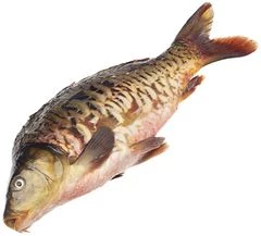 Карп очищенный потрошеный ~750