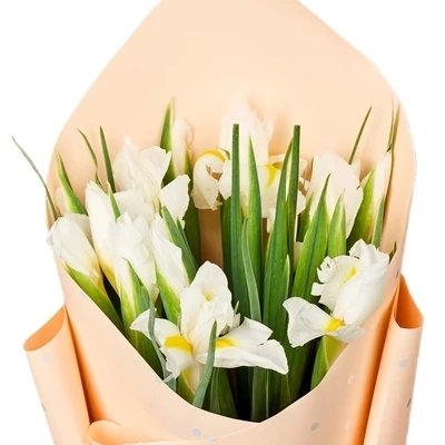 Букет ирисов Вайт Мейджик 21шт-0}