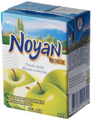 Сок яблочный прямого отжима без сахара Noyan Premium 200мл купить в ...
