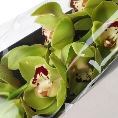 Орхидея зеленая 1шт-1}