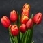 thumb-Букет красно-желтых тюльпанов 9шт-2}