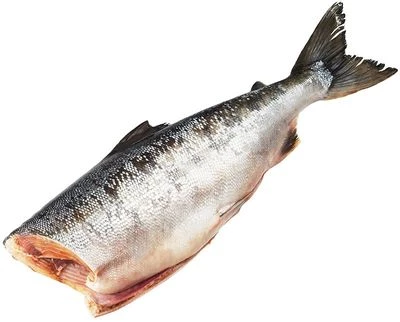 Кета дикая Чукотская ~ 1,5кг-0}