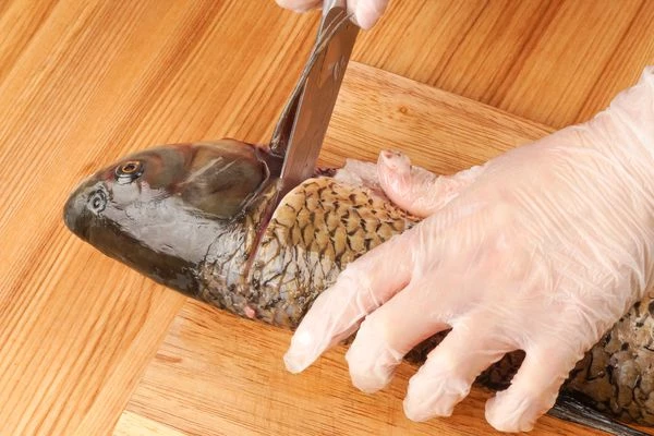 Сделать надрез у головы по жаберному плавнику до хребта.