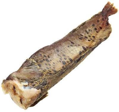 Зубатка пестрая ~2кг-0}