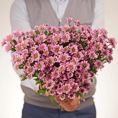 Хризантема розовая Сантини Крисси 55см 1шт-1}