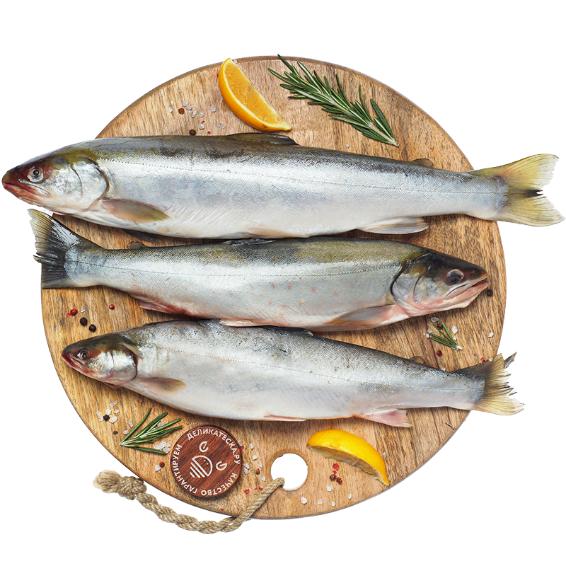 Голец Рыба Цена