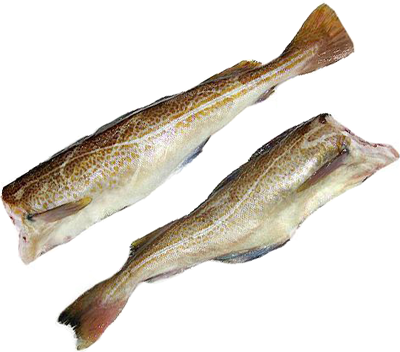 Треска тихоокеанская ~1,5кг треска fish