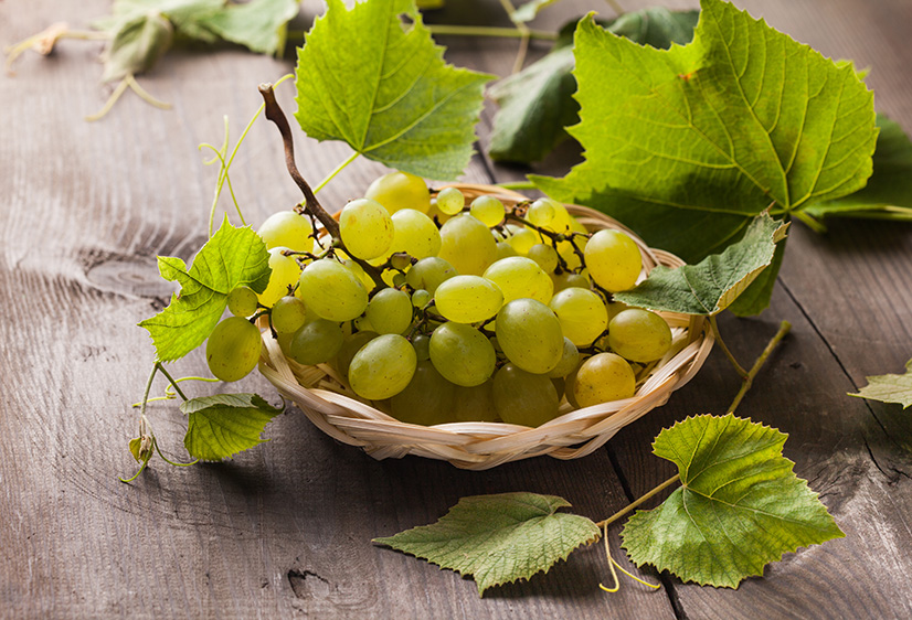 12 лучших сортов винограда