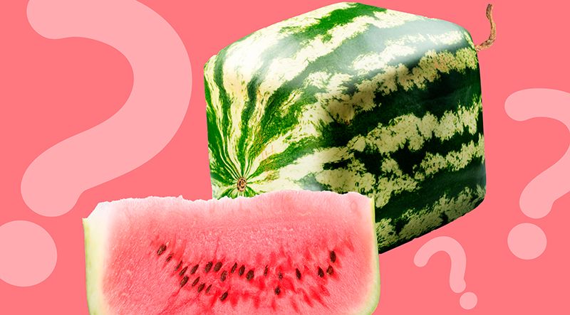 Как выращивают квадратные арбузы?