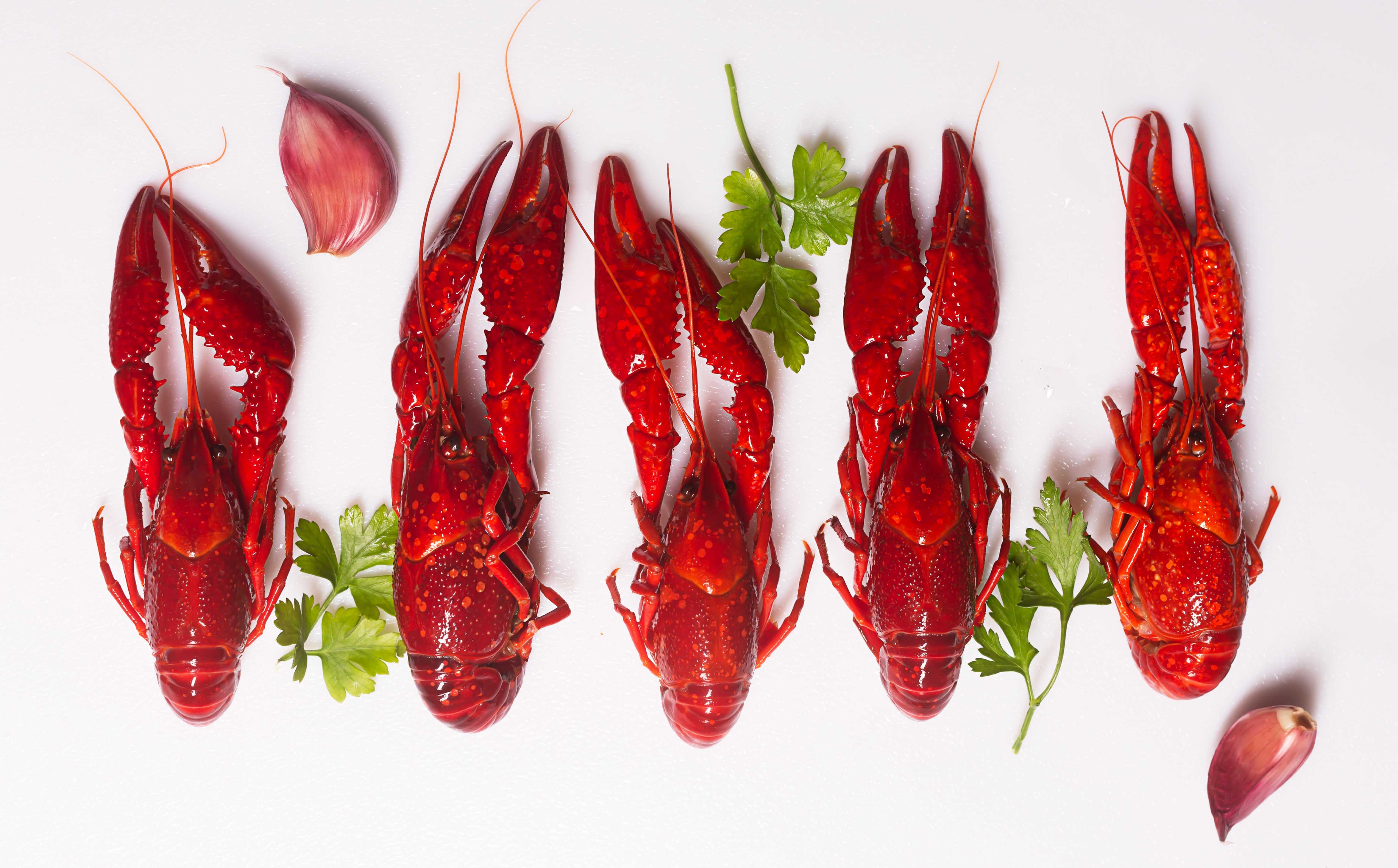 Пищевая ценность раков